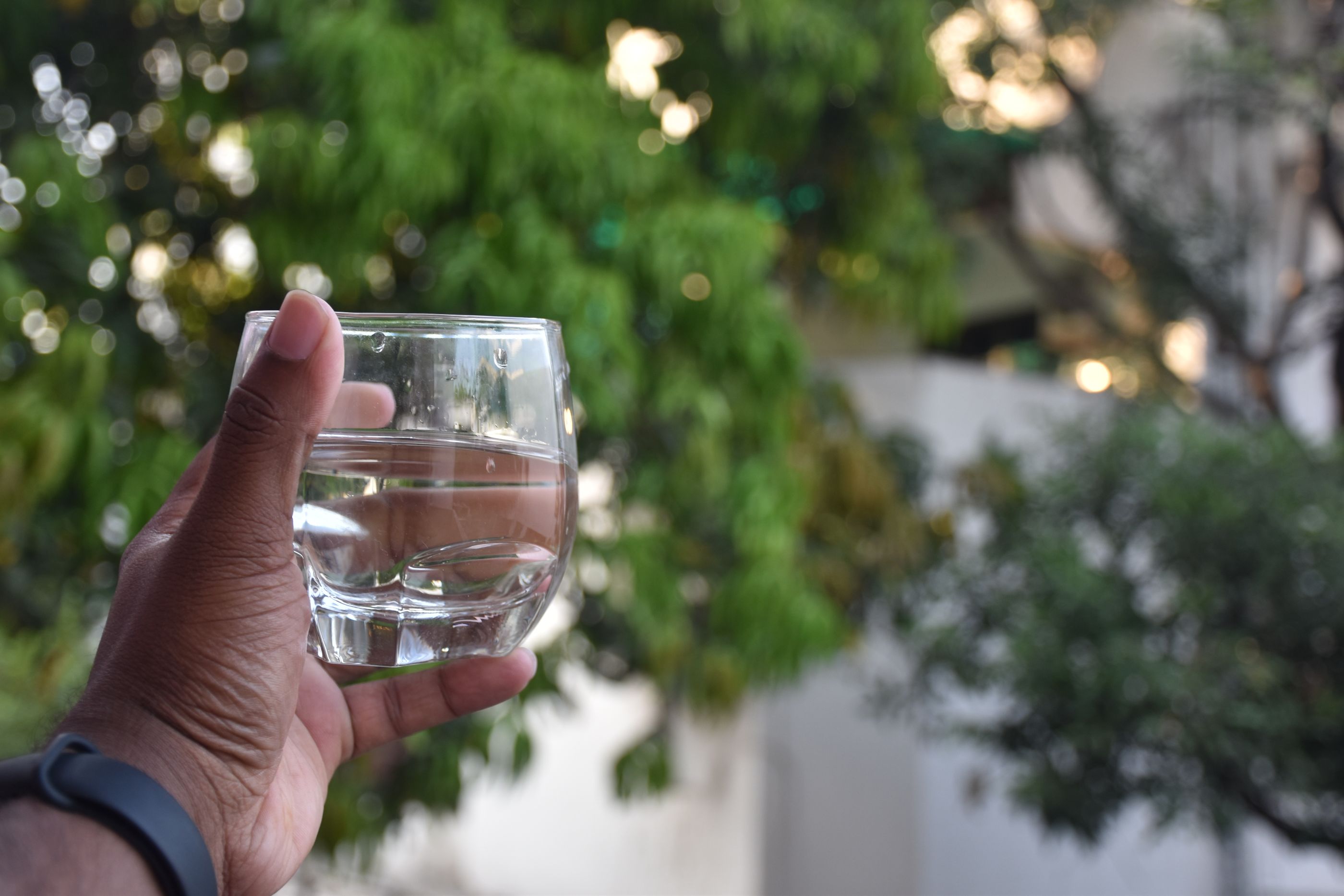 緑のなかの一杯